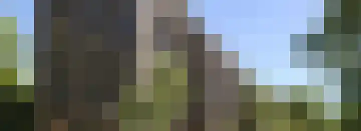 Dampten 6 Hoorn thumbnail 25
