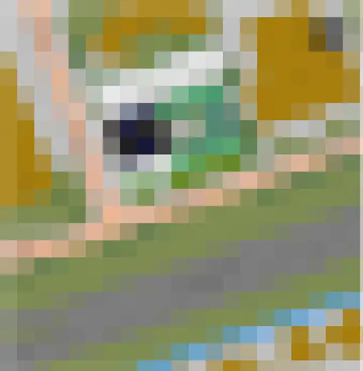 Dampten 6 Hoorn thumbnail 8