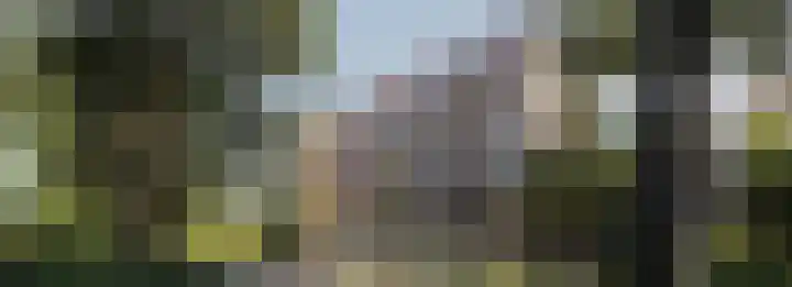 Dampten 8 Hoorn thumbnail 10