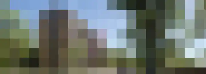Dampten 8 Hoorn thumbnail 12