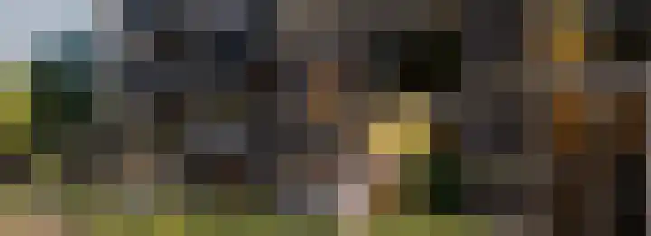 Dampten 8 Hoorn thumbnail 13