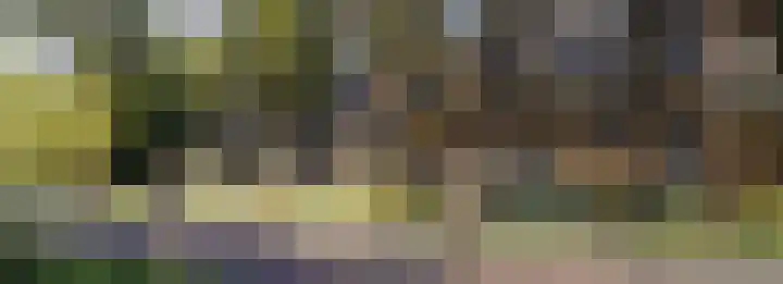 Dampten 8 Hoorn thumbnail 14