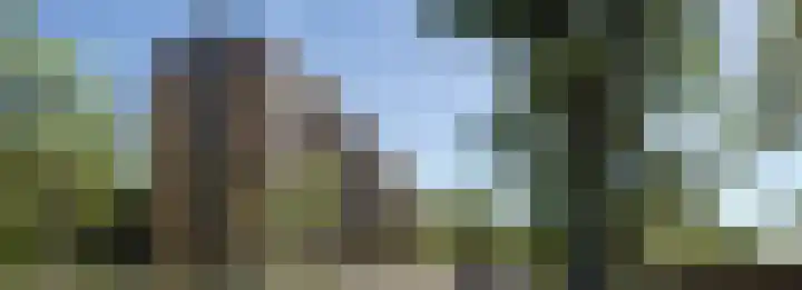 Dampten 8 Hoorn thumbnail 16