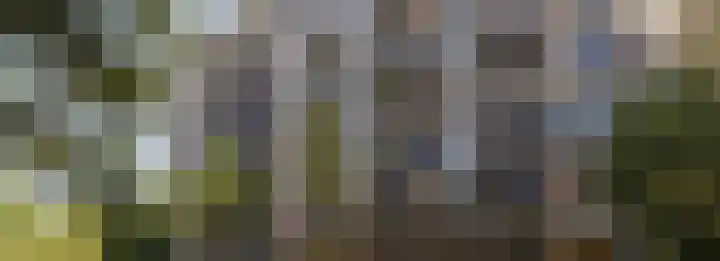 Dampten 8 Hoorn thumbnail 18
