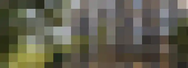 Dampten 8 Hoorn thumbnail 20