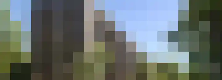 Dampten 8 Hoorn thumbnail 21