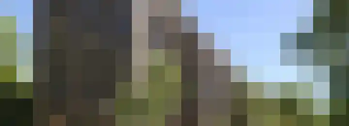 Dampten 8 Hoorn thumbnail 25
