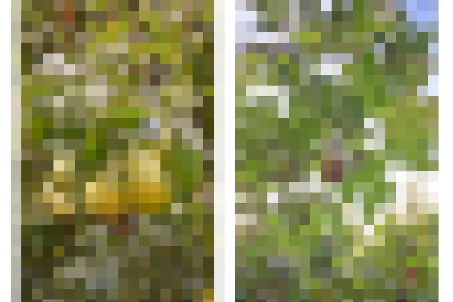 Damraklaan 2 Utrecht thumbnail 23