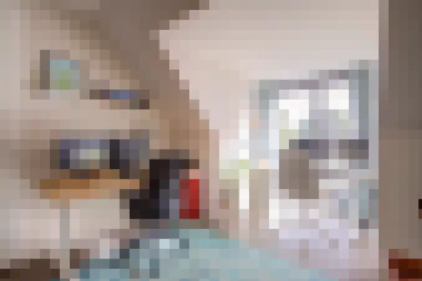 Damraklaan 2 Utrecht thumbnail 45