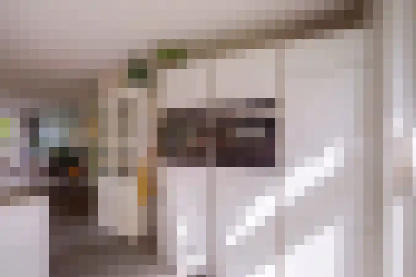 Damraklaan 2 Utrecht thumbnail 6
