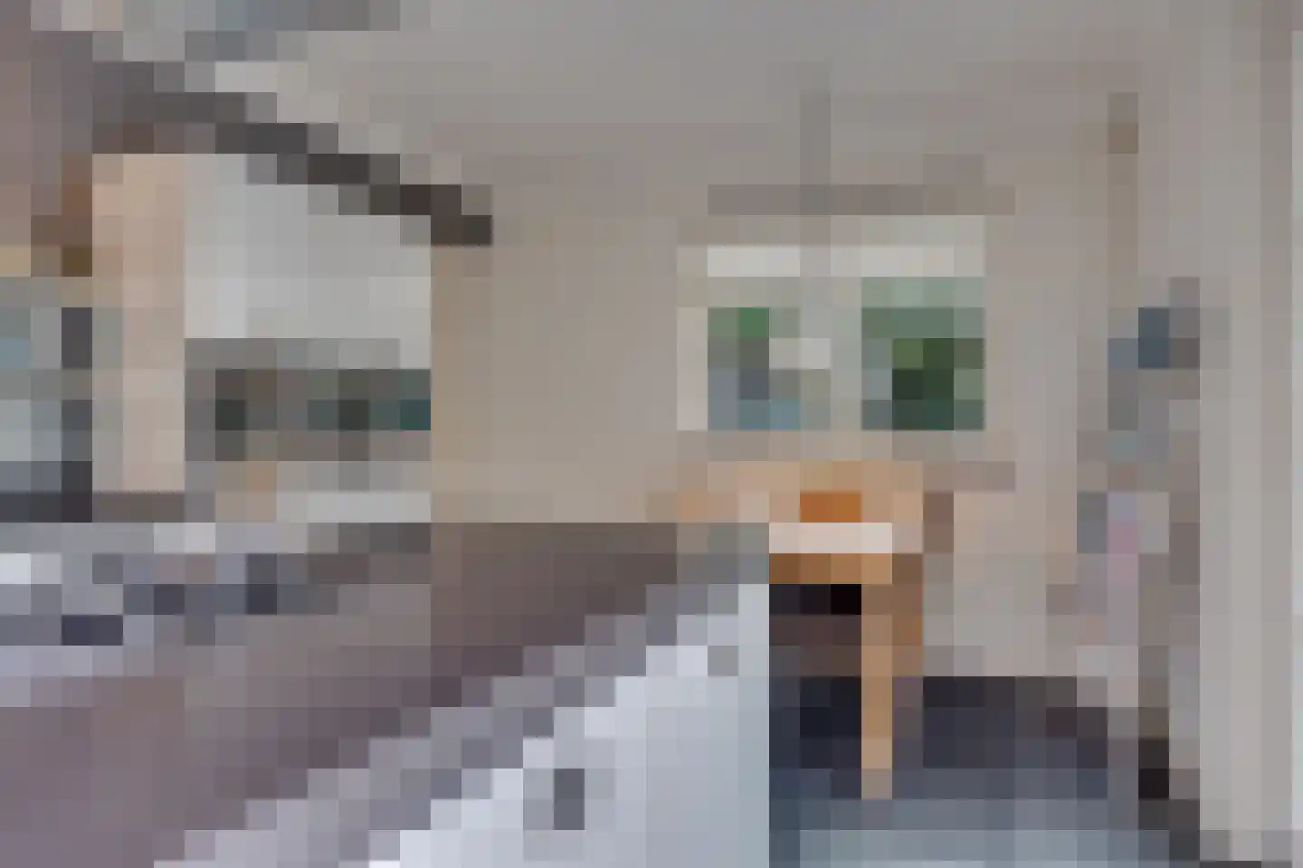 Damreesche Spoor 18 Leusden thumbnail 16