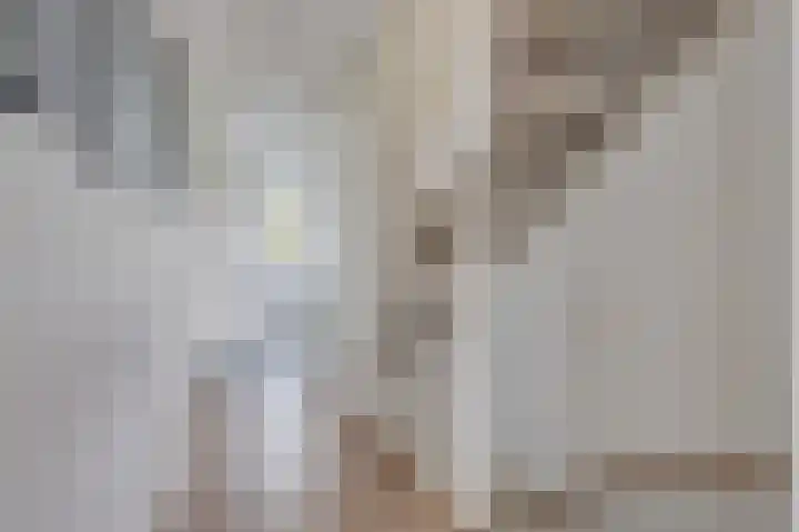 Damreesche Spoor 67 Leusden thumbnail 12