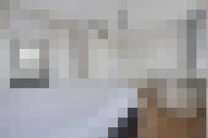 Damreesche Spoor 67 Leusden thumbnail 13