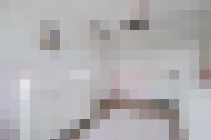 Damreesche Spoor 67 Leusden thumbnail 19