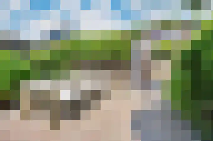 Damreesche Spoor 67 Leusden thumbnail 26