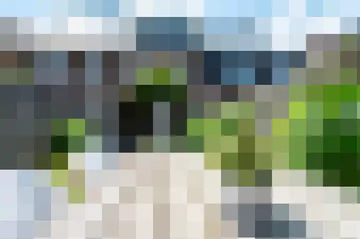 Damreesche Spoor 67 Leusden thumbnail 27