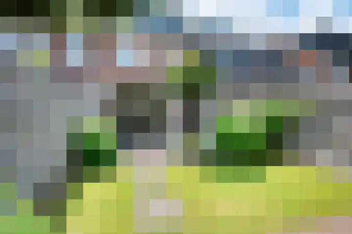 Damreesche Spoor 67 Leusden thumbnail 28