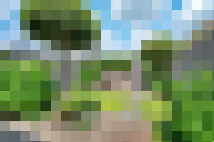 Damreesche Spoor 67 Leusden thumbnail 4