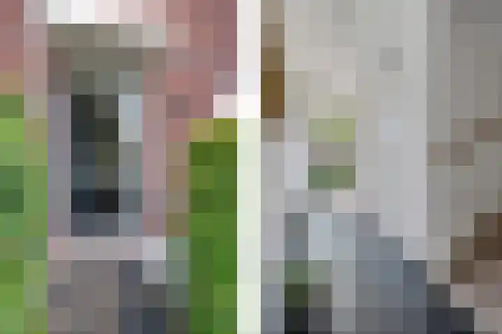 Damreesche Spoor 67 Leusden thumbnail 5