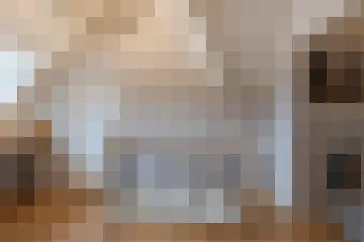 Damseweg 101 Ottoland thumbnail 28