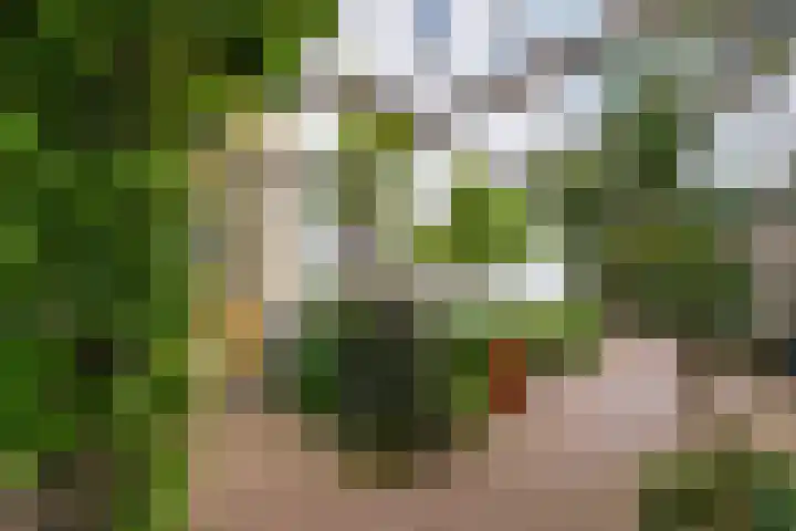 Damseweg 101 Ottoland thumbnail 44