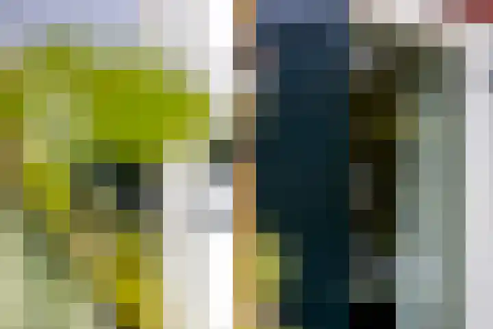 Damseweg 101 Ottoland thumbnail 52