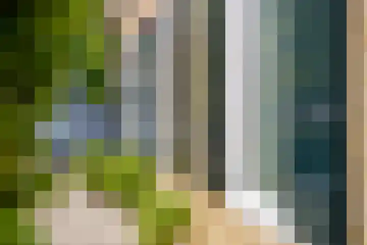 Damseweg 101 Ottoland thumbnail 53