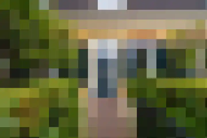 Damseweg 101 Ottoland thumbnail 54