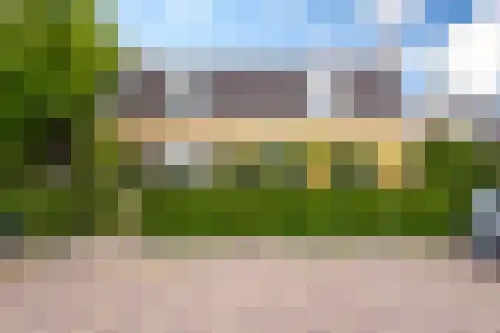 Damseweg 101 Ottoland thumbnail 71