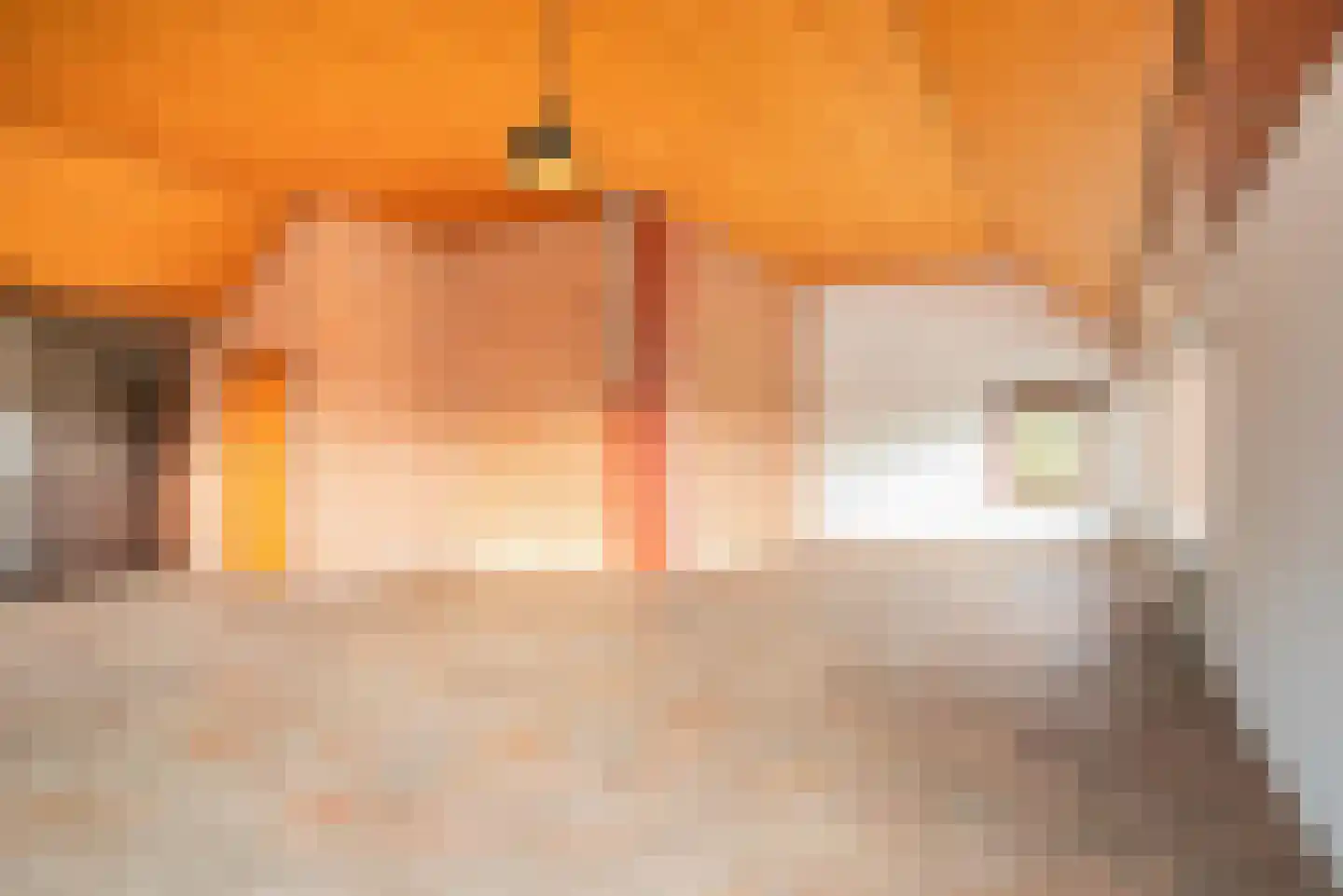 Damseweg 68 Brandwijk thumbnail 6