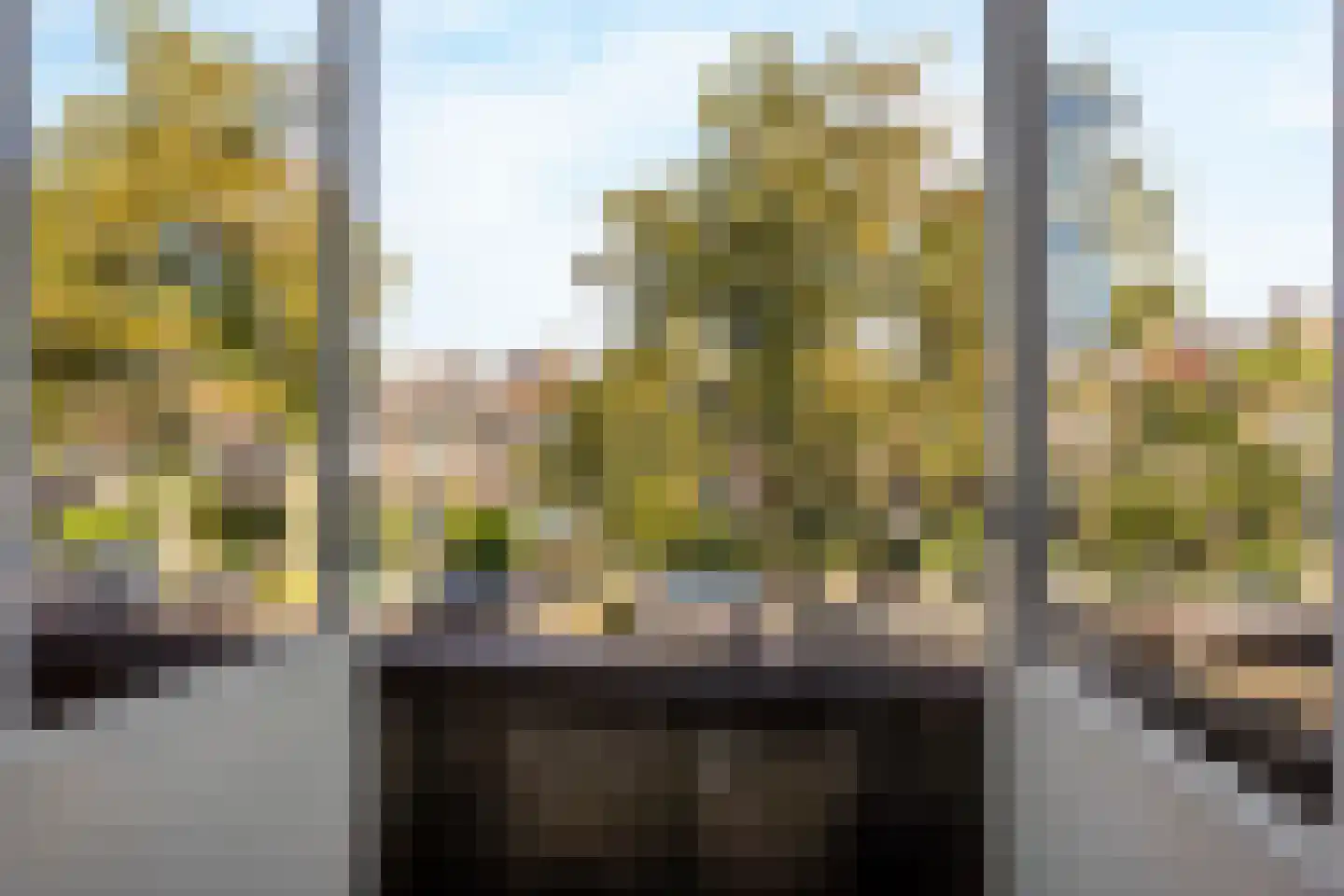 Damsigtstraat 19 Voorburg thumbnail 15