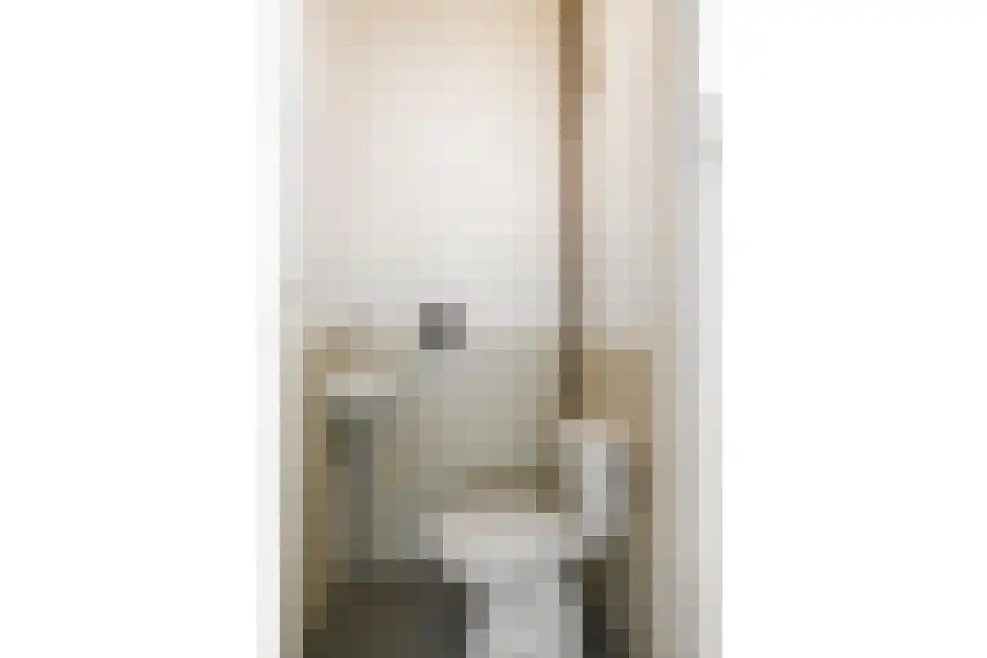 Damsigtstraat 19 Voorburg thumbnail 25