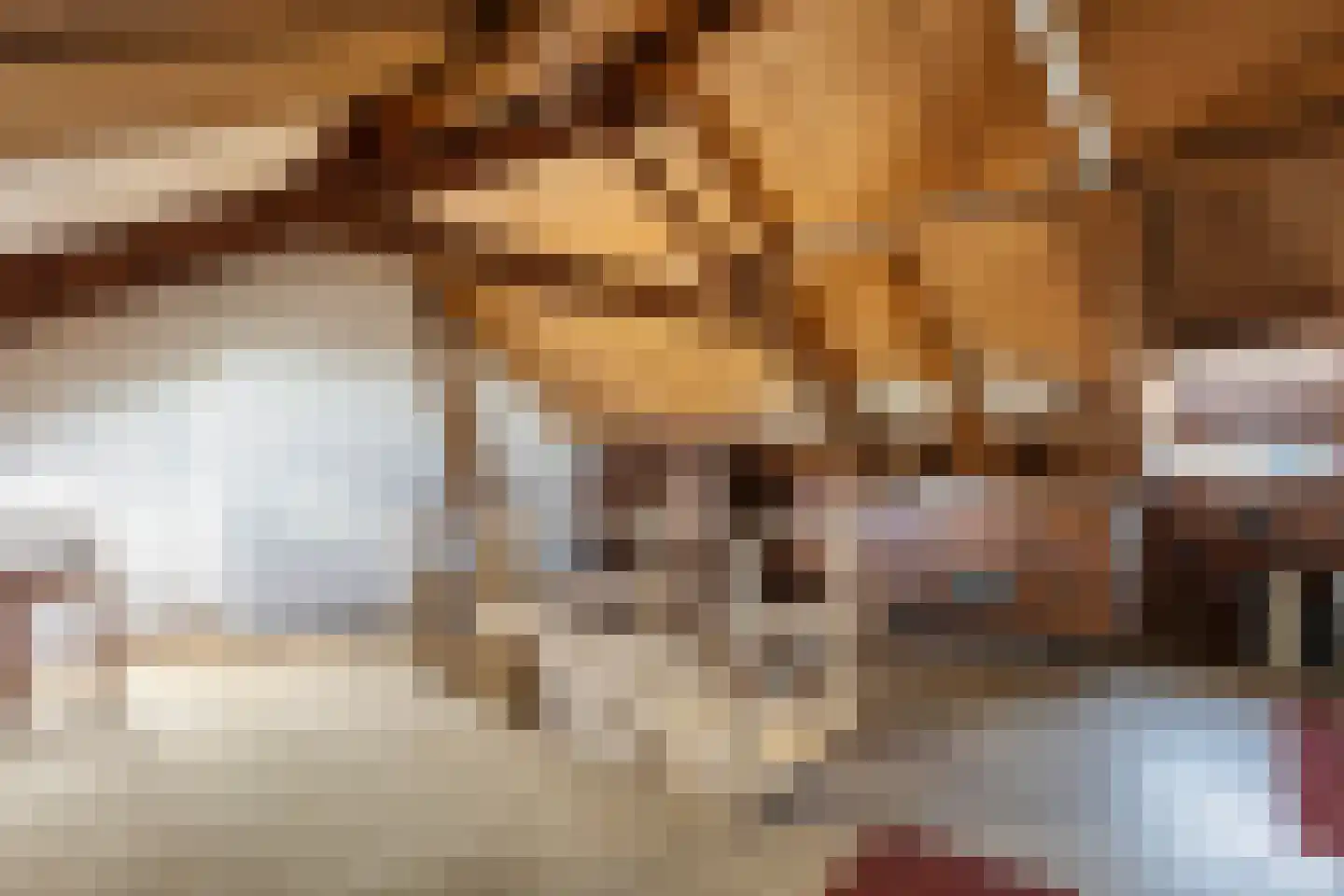 Damsigtstraat 19 Voorburg thumbnail 29