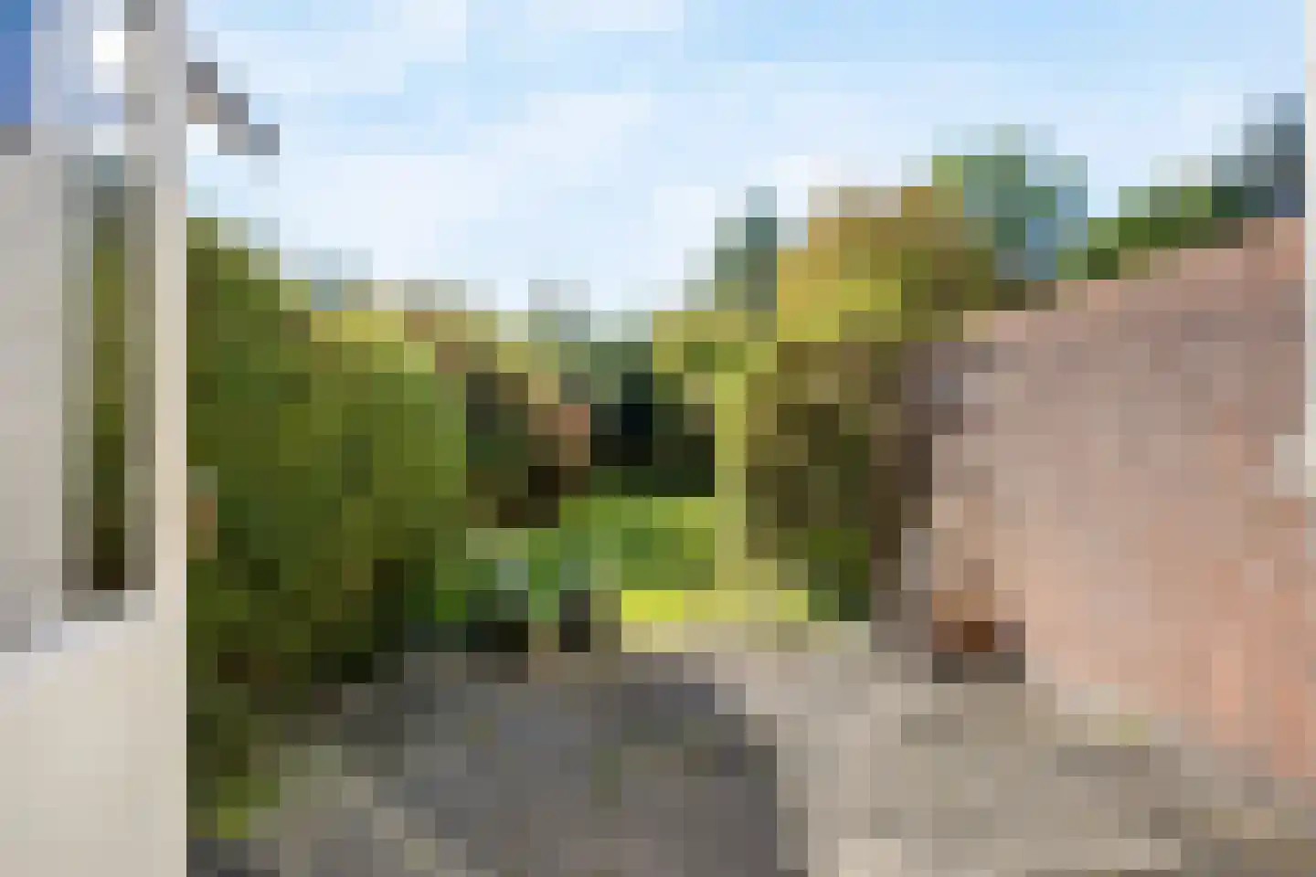 Damsigtstraat 19 Voorburg thumbnail 33
