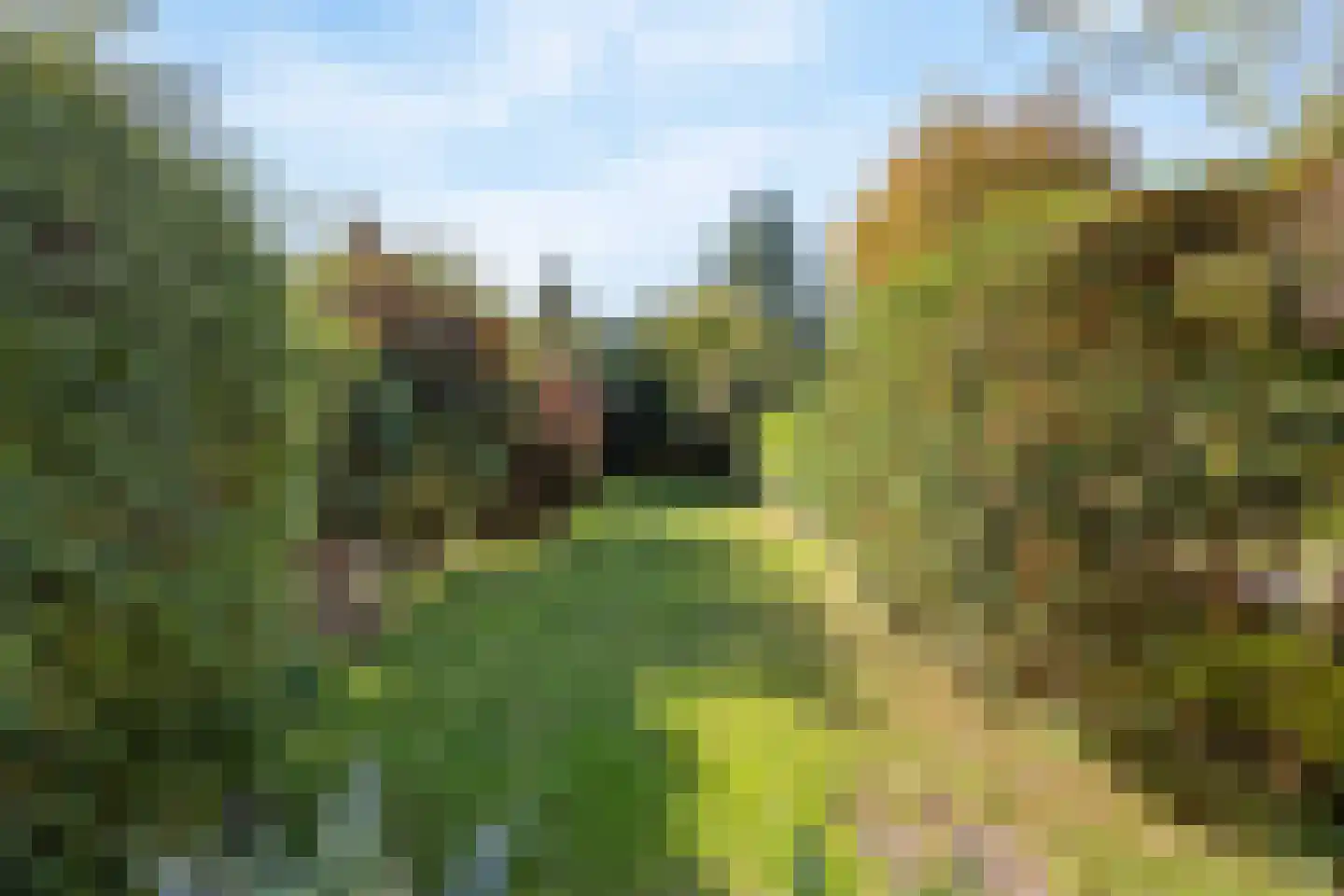 Damsigtstraat 19 Voorburg thumbnail 35