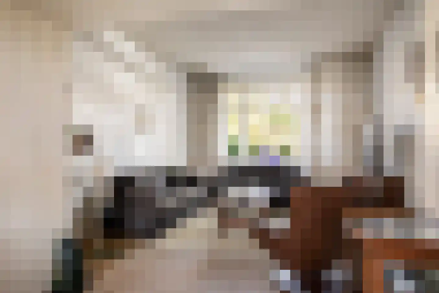 Damsigtstraat 19 Voorburg thumbnail 4