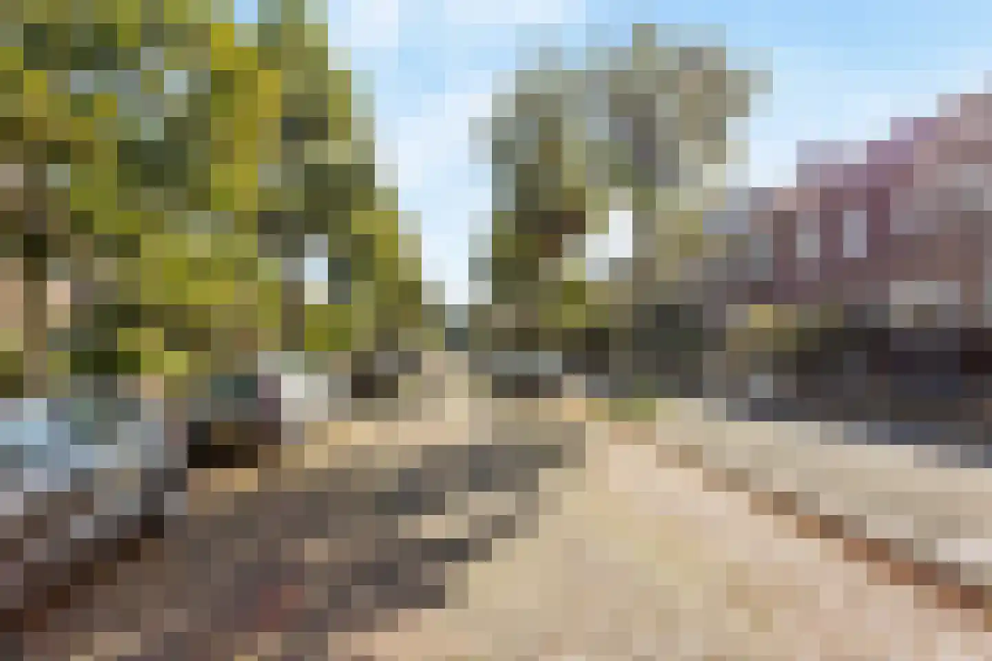 Damsigtstraat 19 Voorburg thumbnail 41