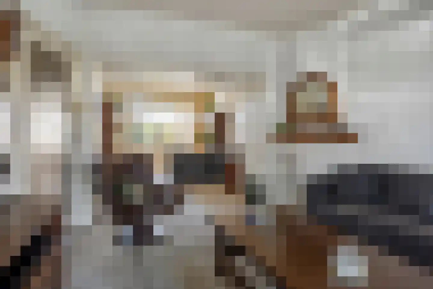 Damsigtstraat 19 Voorburg thumbnail 7