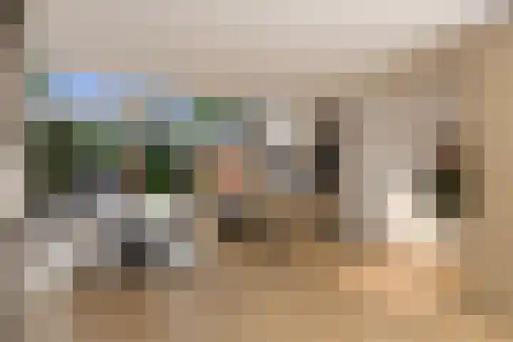 Damsigtstraat 2 Voorburg thumbnail 17