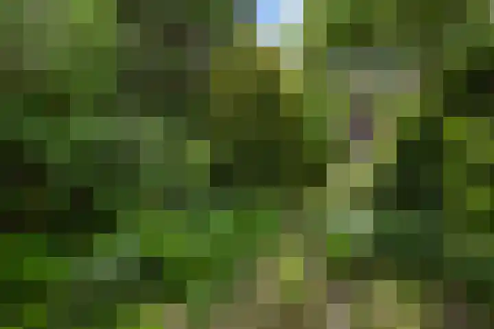 Damsigtstraat 2 Voorburg thumbnail 23