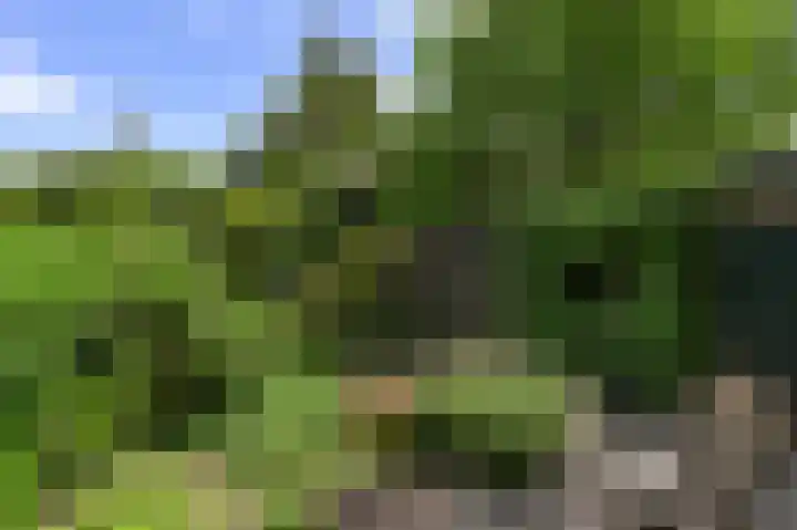Damsigtstraat 2 Voorburg thumbnail 24