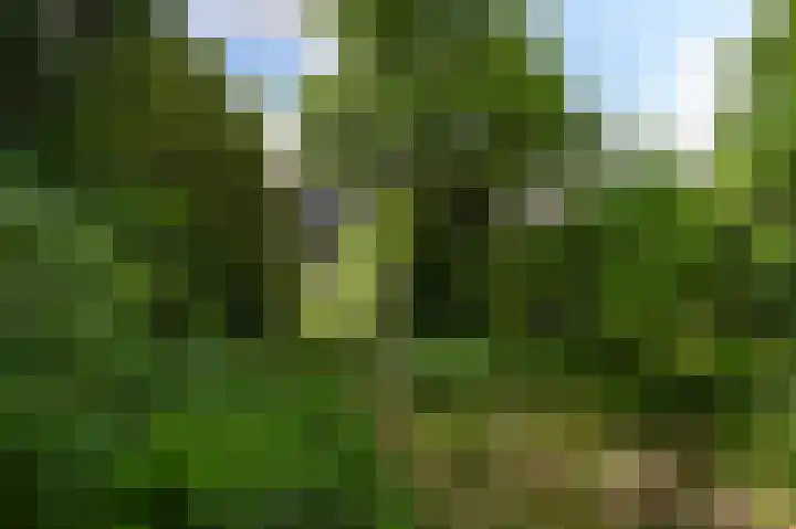 Damsigtstraat 2 Voorburg thumbnail 26