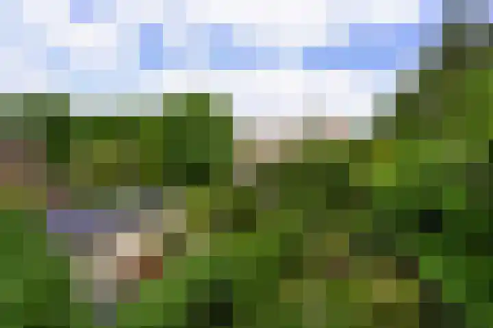 Damsigtstraat 2 Voorburg thumbnail 27