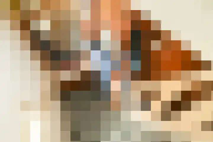 Damsigtstraat 2 Voorburg thumbnail 28