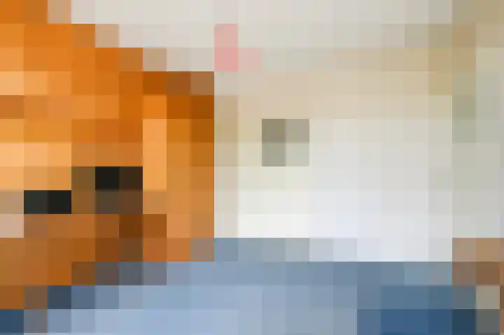 Damsigtstraat 2 Voorburg thumbnail 32