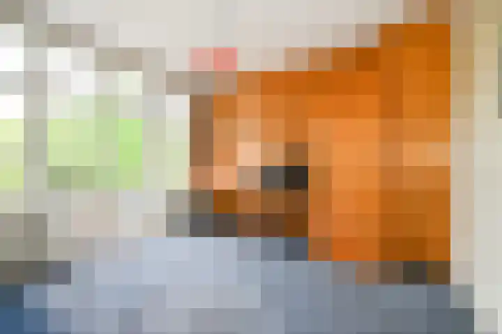 Damsigtstraat 2 Voorburg thumbnail 33