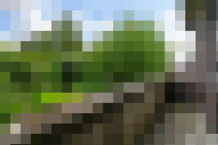 Damsigtstraat 2 Voorburg thumbnail 40