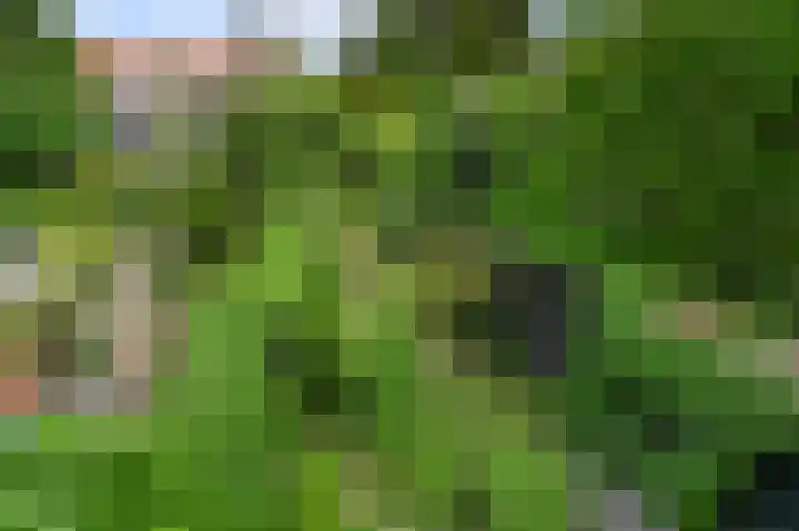 Damsigtstraat 2 Voorburg thumbnail 41