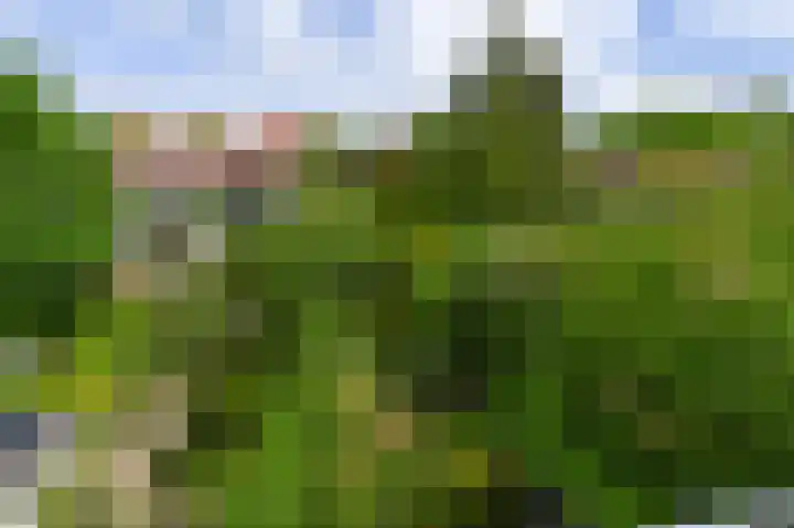 Damsigtstraat 2 Voorburg thumbnail 42