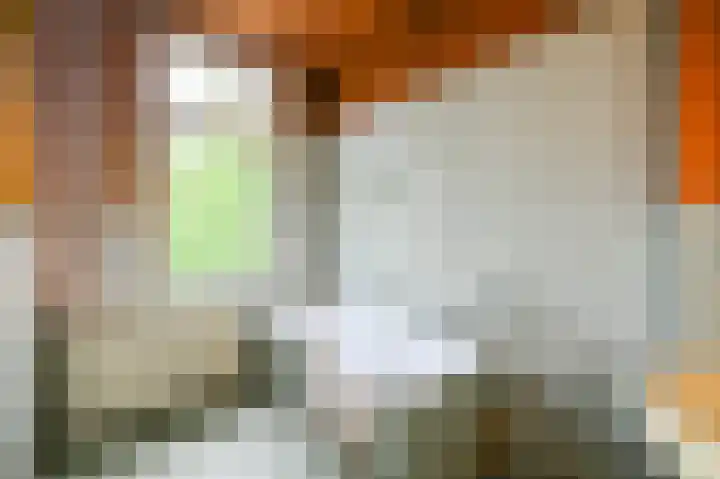 Damsigtstraat 2 Voorburg thumbnail 43